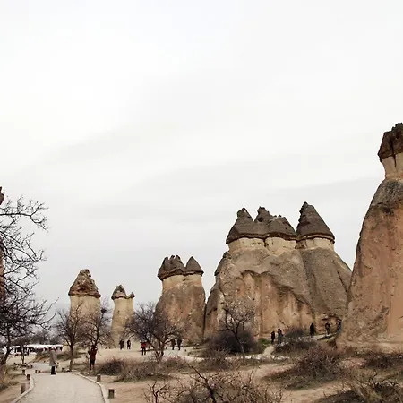 Ve Kapadokya 4* نفسهير